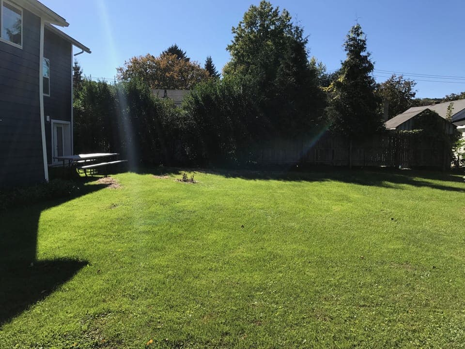 Back Yard