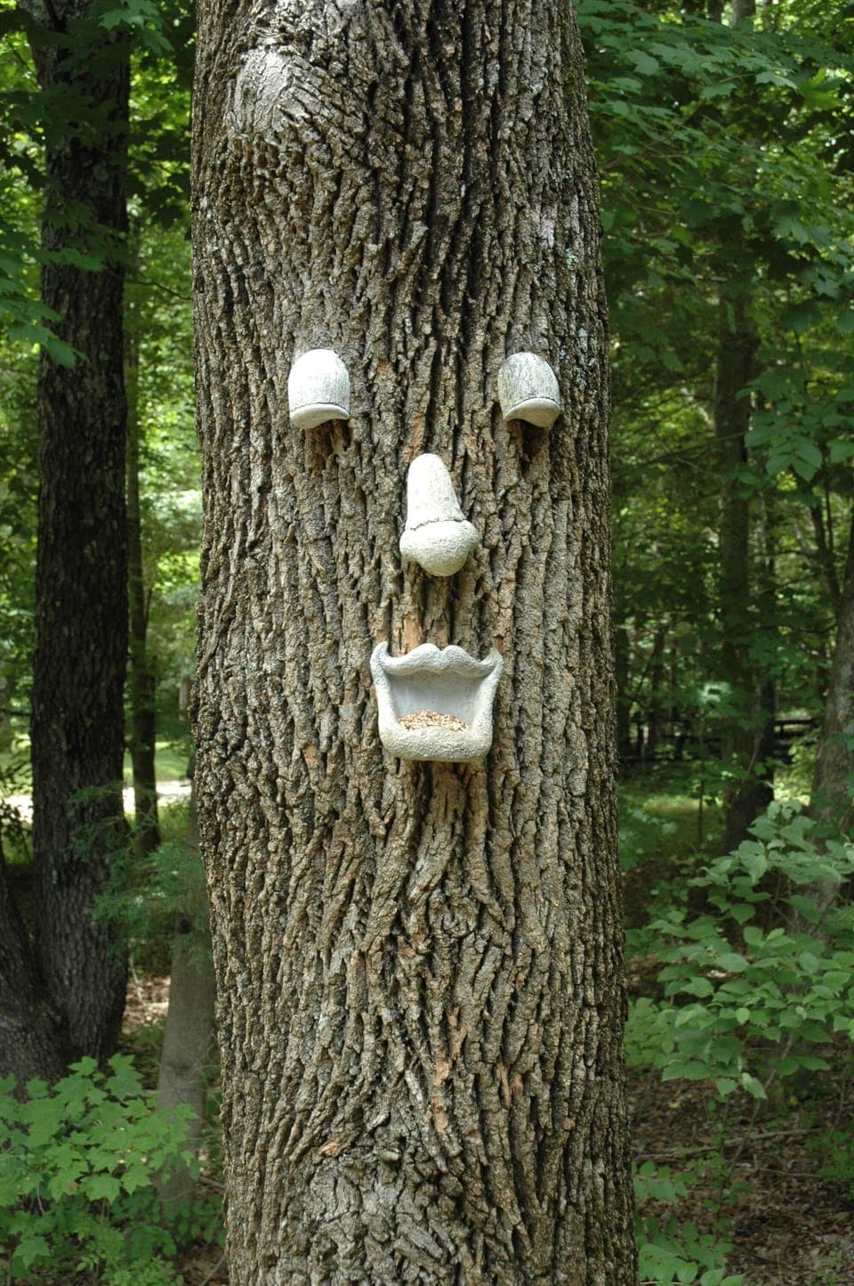 Happy tree! Be sure to feed the birds!