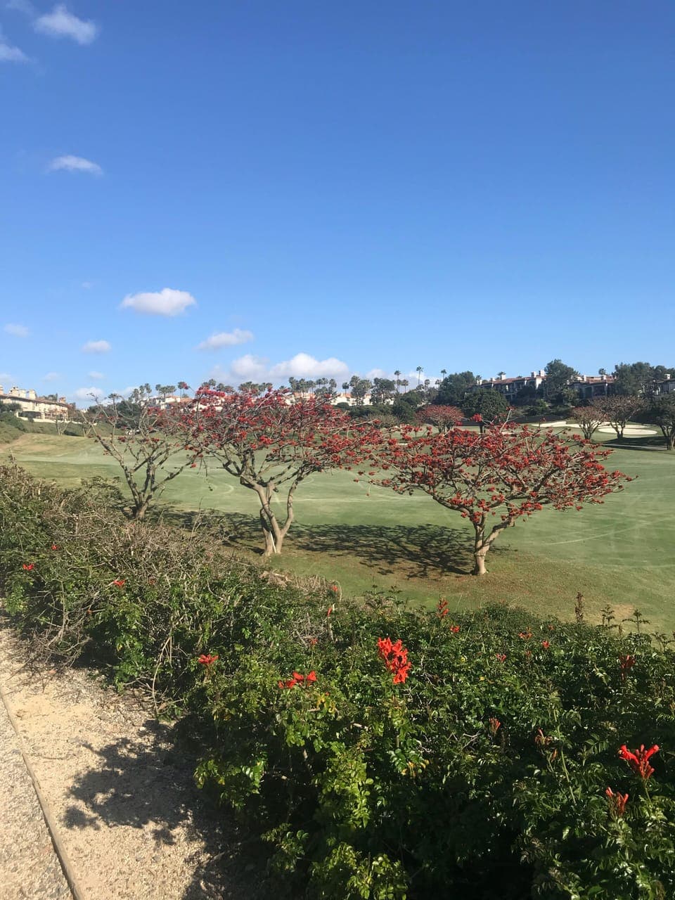 The view along the way to Salt Creek Beach. A leisurely 20 min walk!