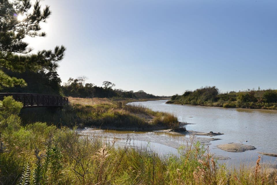 Pine Gulley Nature preserve in Seabrook