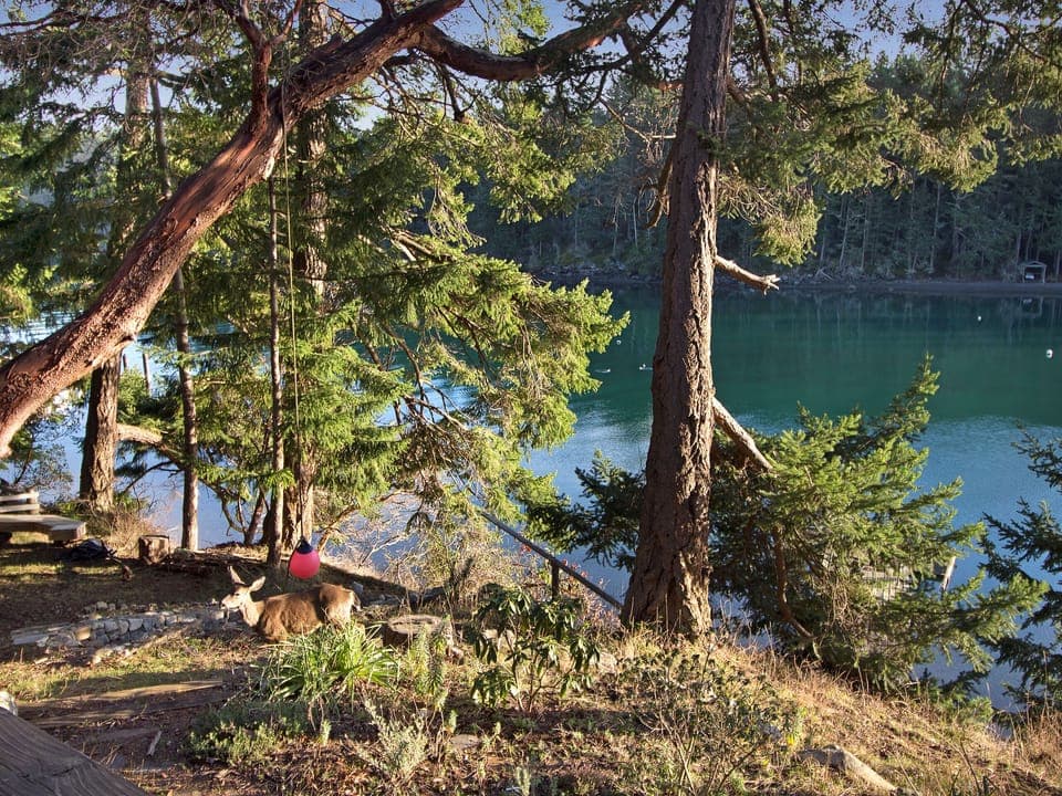 Fire pit area. *Fire pits are not usable from May through September due to seasonal county burn ban.