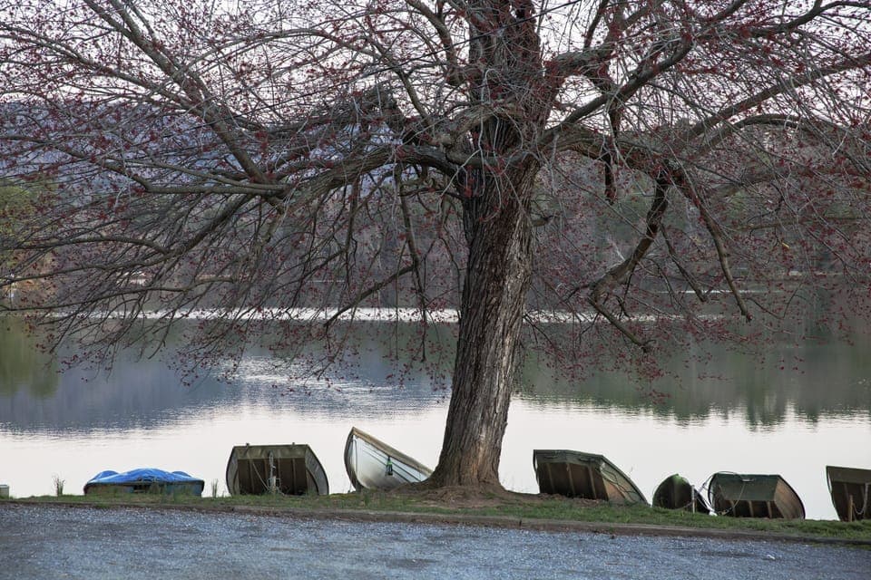 Boating at Beaver Lake about 1/2 mile away 

