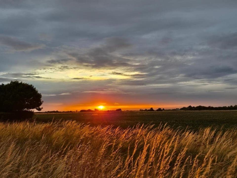 Region [summer] (>5 km)