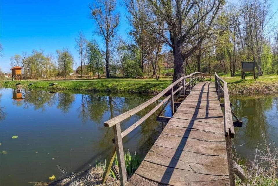 Region [summer] (>5 km)