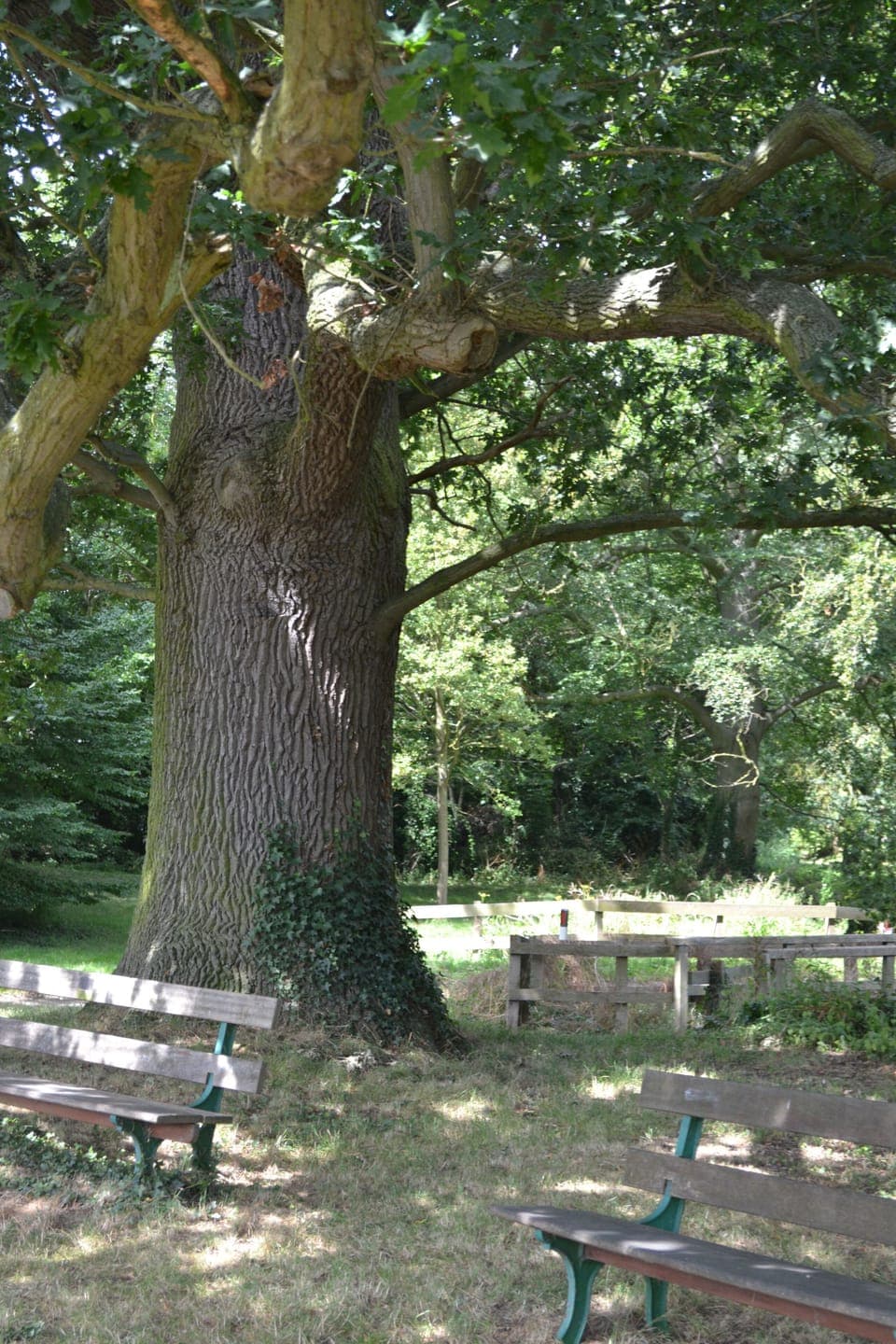 Next to one of Hilton's three ponds