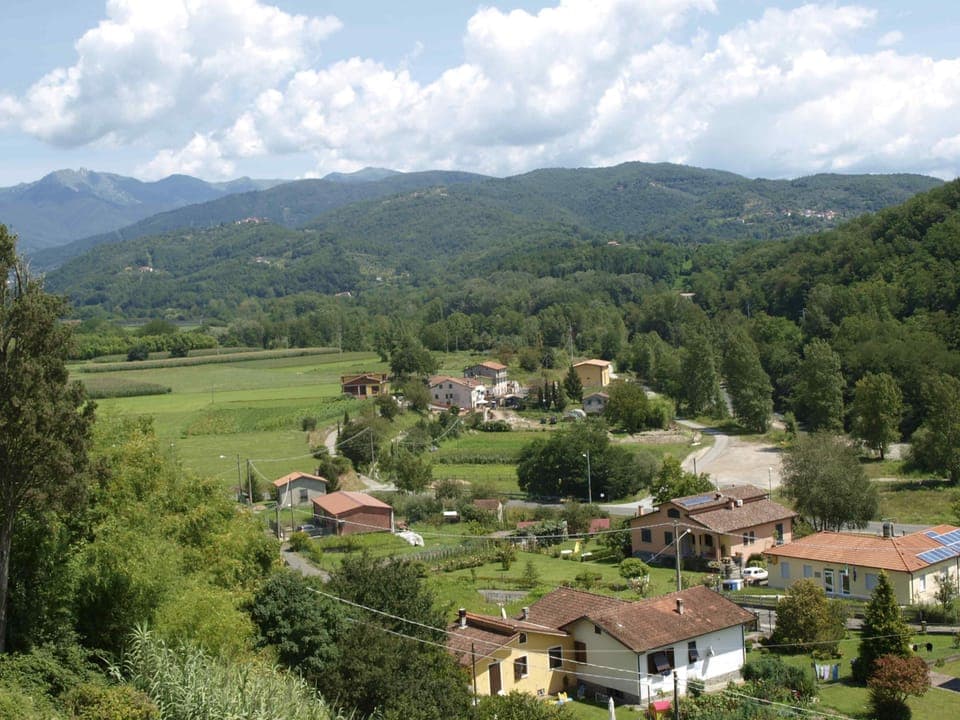 Another view from the patio.