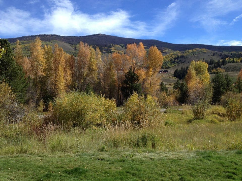 View from back patio of river during the Fall.  Bike path runs along the river.