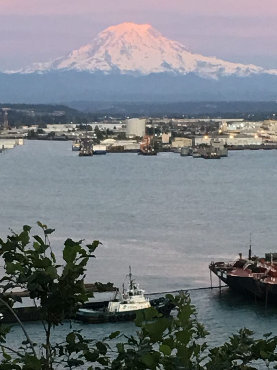 Commencement Bay and "the" Mountain 