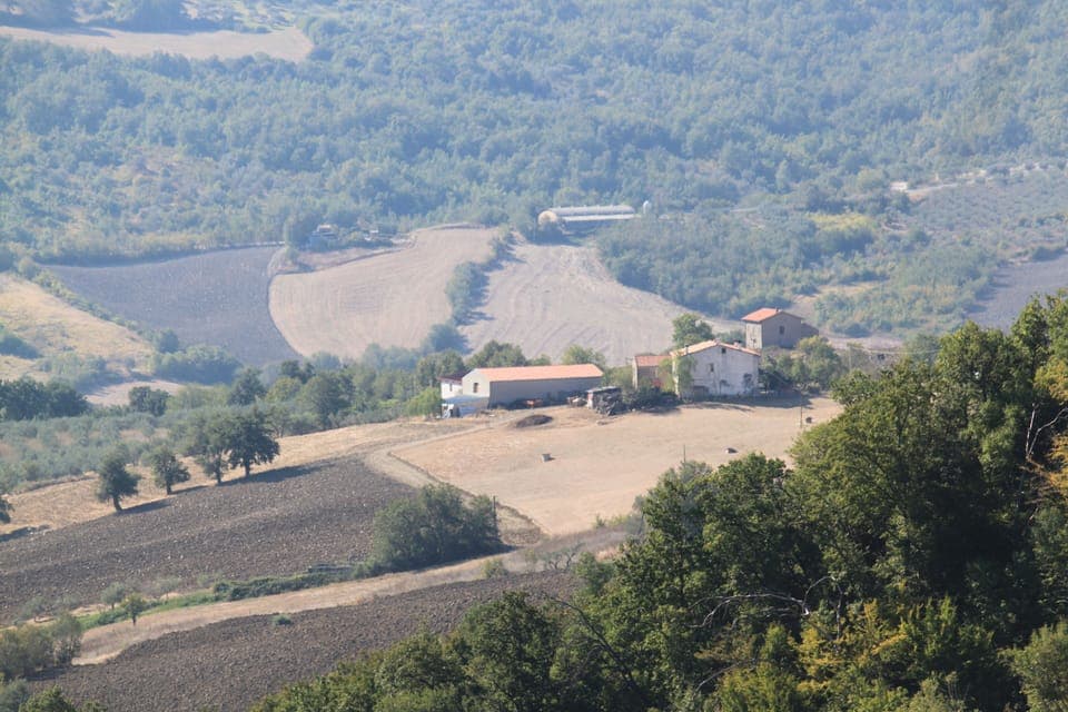 View from the back terrace.