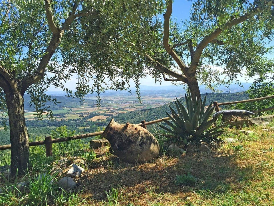 Garden and panoramic view