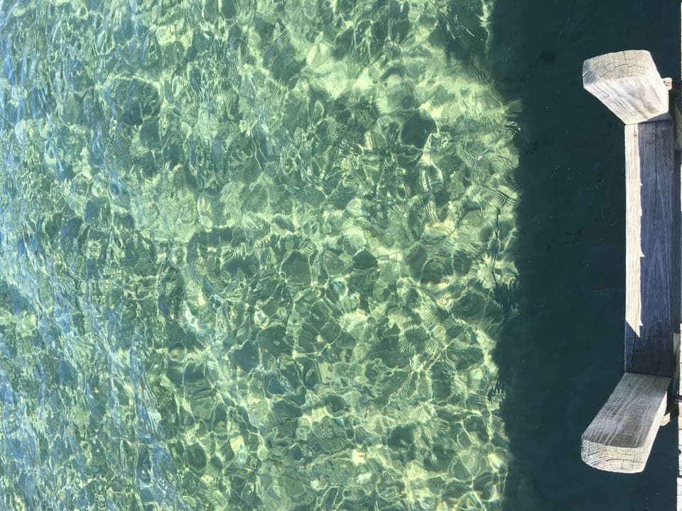 Swimming Ladder off Dock