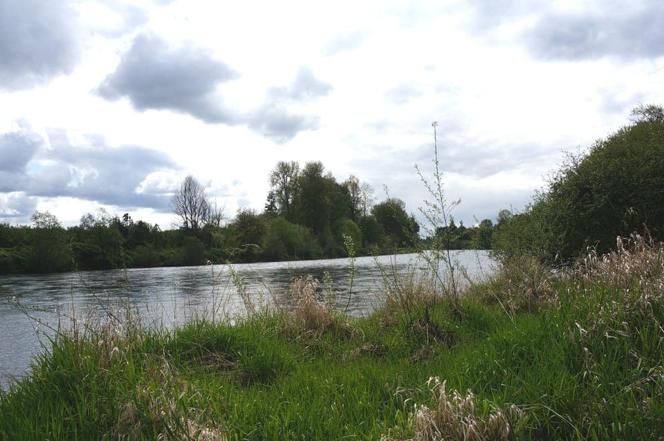 McKenzie River front at our property