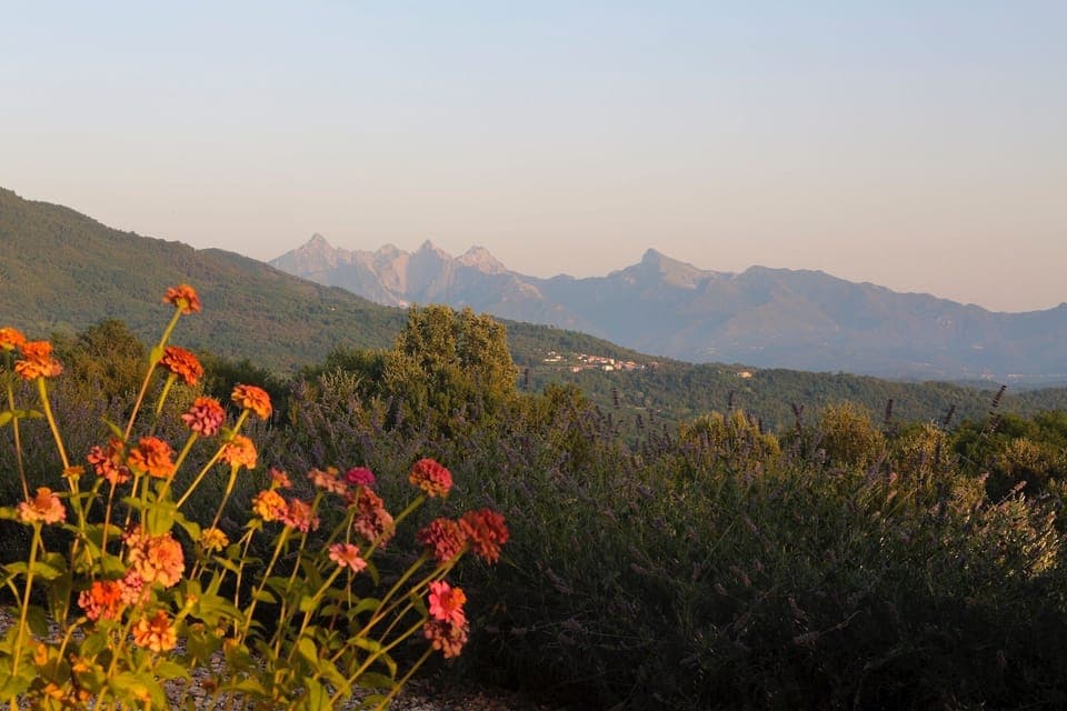The late evening sun begins to highlight the "Alpi Apuane" in the distance