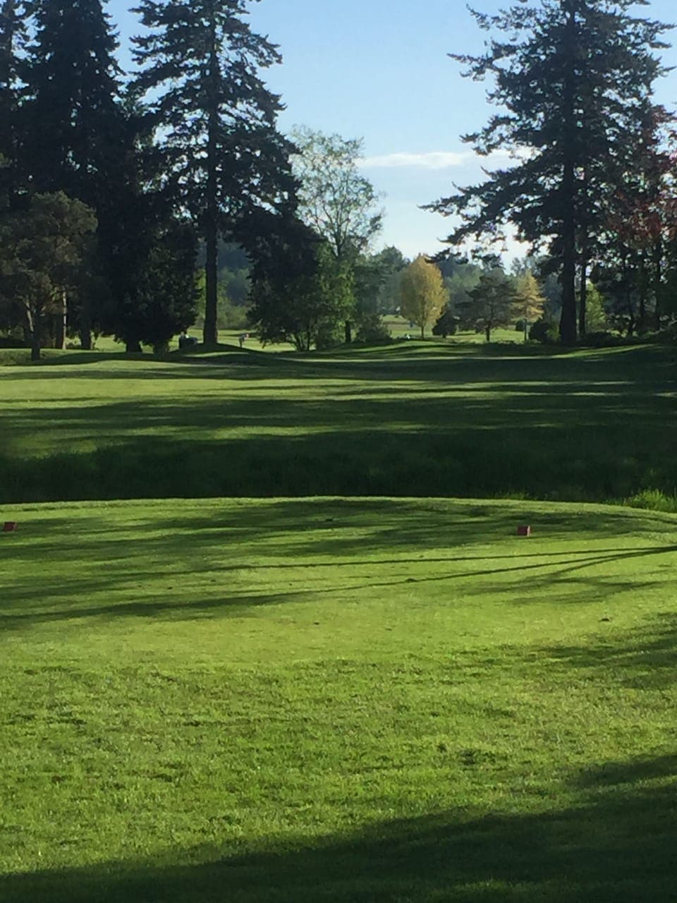 Plenty of Golf courses for every level of player