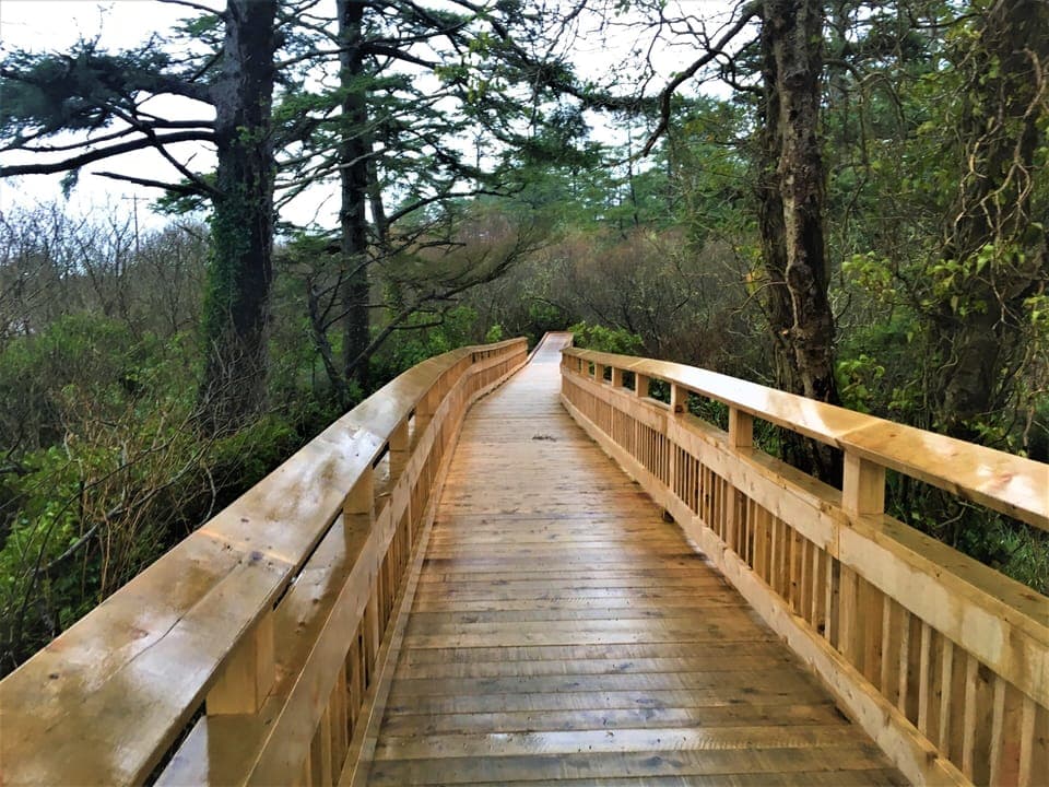 Entrance to "Rockaway Big Tree Trailhead" boardwalk.