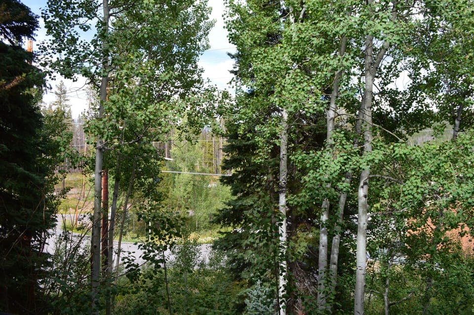 StayWinterPark Beaver Village Condos summer view from deck unit 322