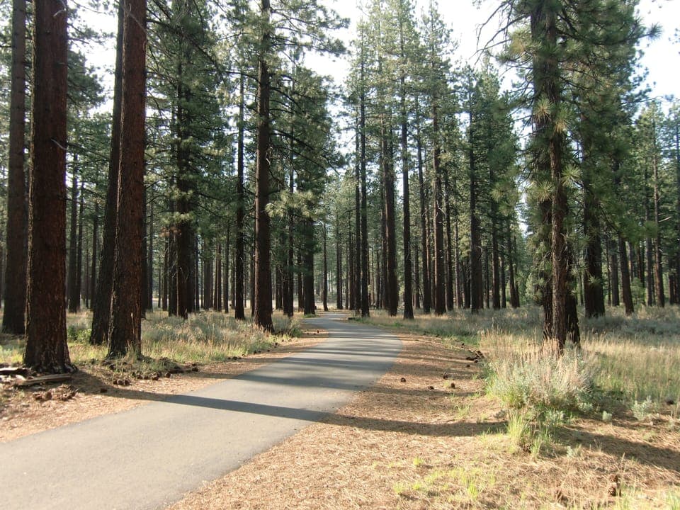 Bike in the pines by Nevada Beach