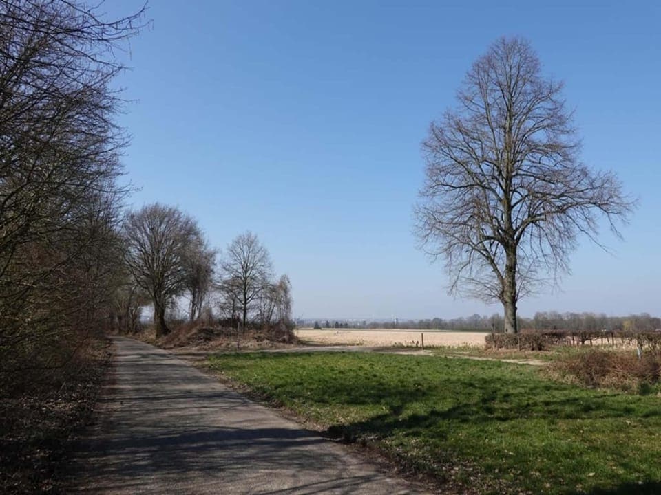 Region [summer] (>5 km)