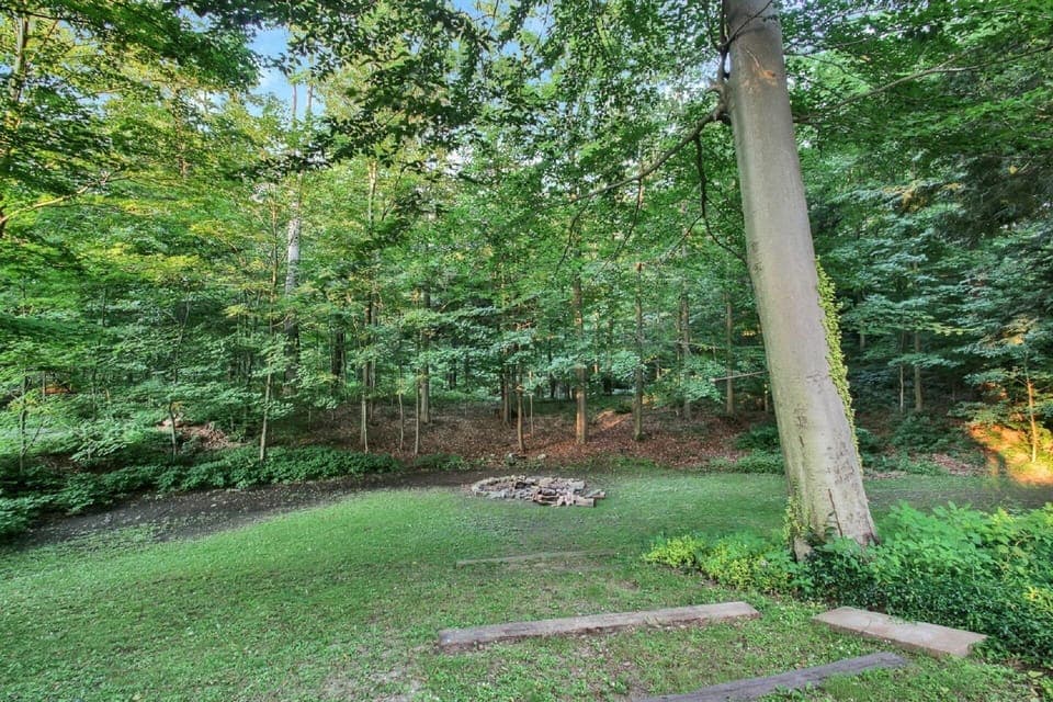 Have a fire and roast marshmallows!