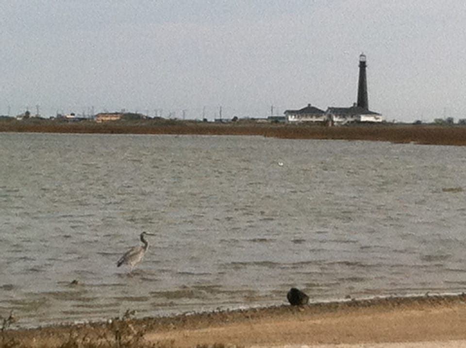 the view of the lighthouse from the beach nearby
