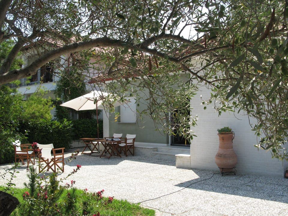 My favourite plant "Bougainvillea" in the beautiful Cretan pottery 2 yars ago 