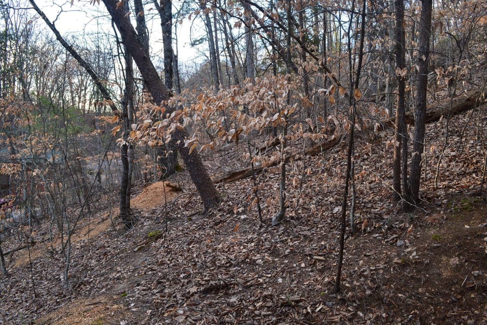 View from back patio 
