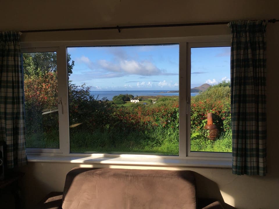 view from kitchen