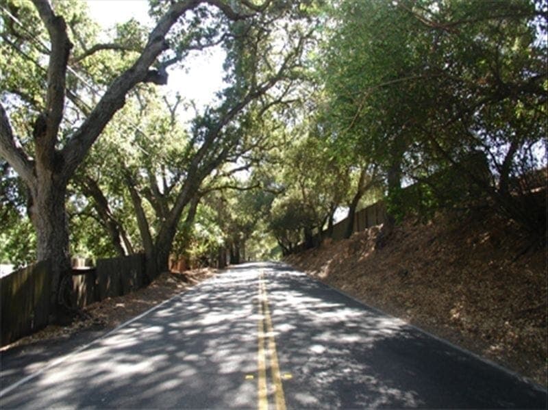 Vacation Rental - Saratoga, California - Tranquil and Quiet !