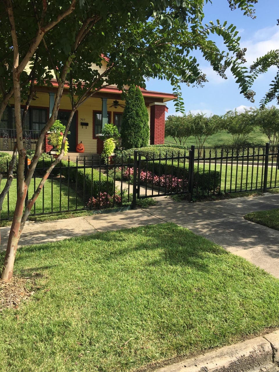 We just added  a new fence this is the most recent picture taken Oct '18