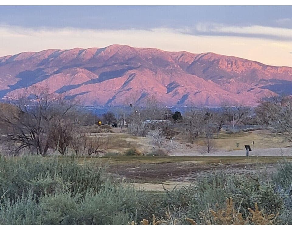 Sandia mean watermelon.  View from patio towards mountains. 