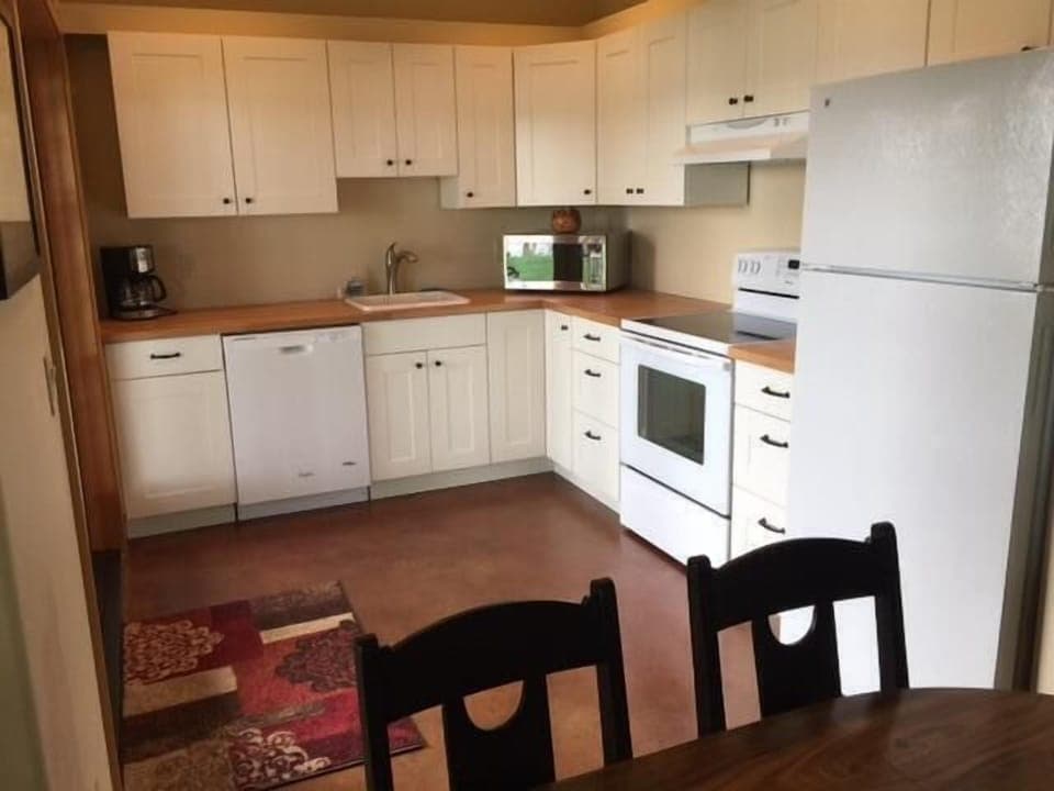 Kitchen area and entry