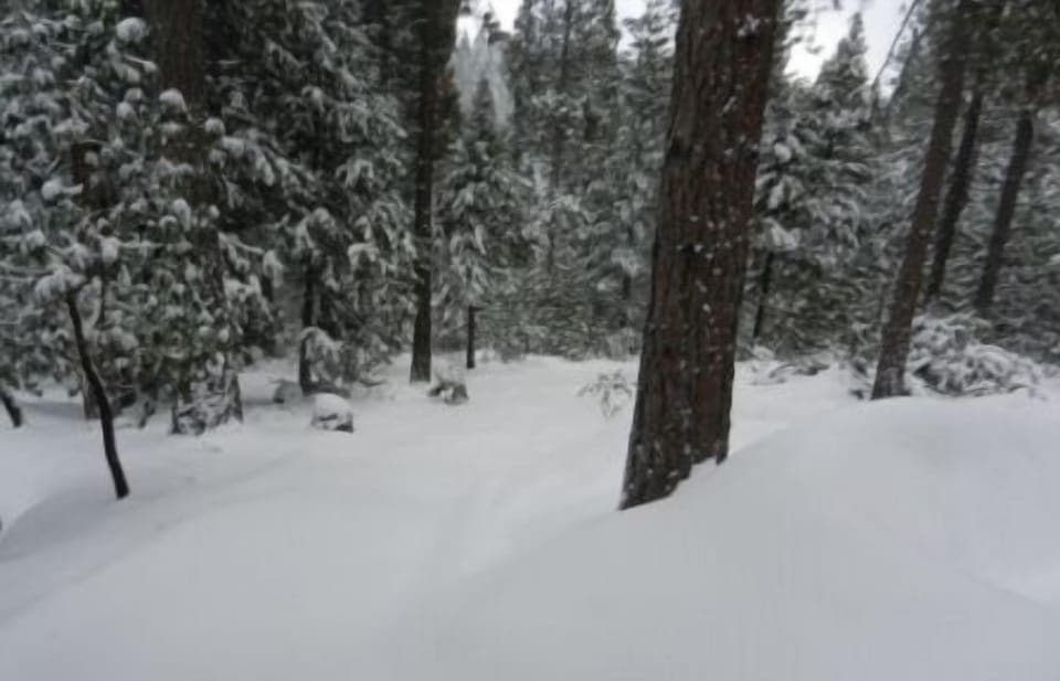 Backyard veiw from deck