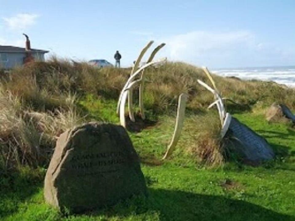 Whale skeleton at Donald Davis Park