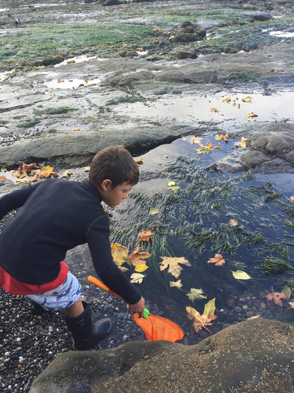 Tide pool fishing!