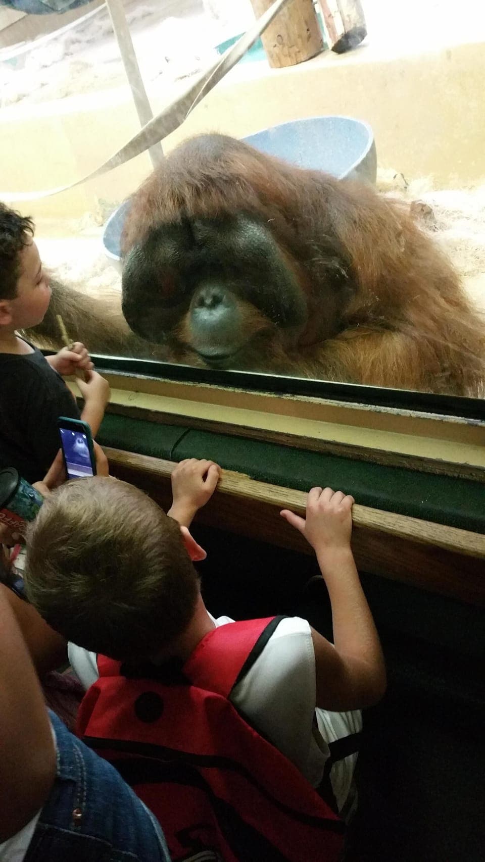 Fun things are happening at the Colorado Springs ZOO. 