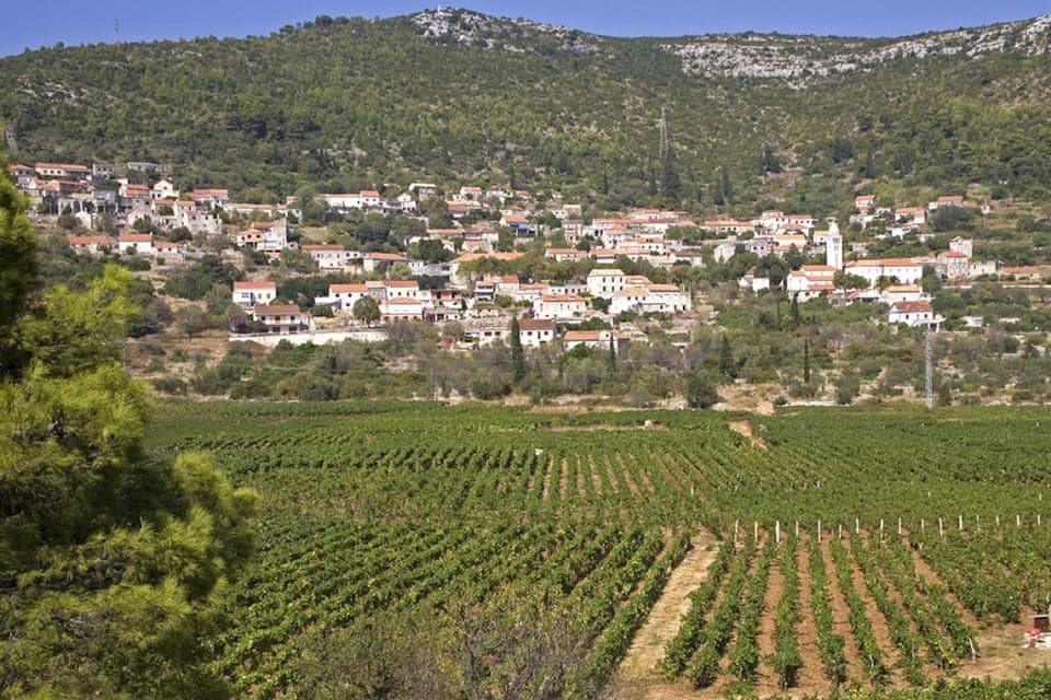 Surroundings [summer] (1-5 km)