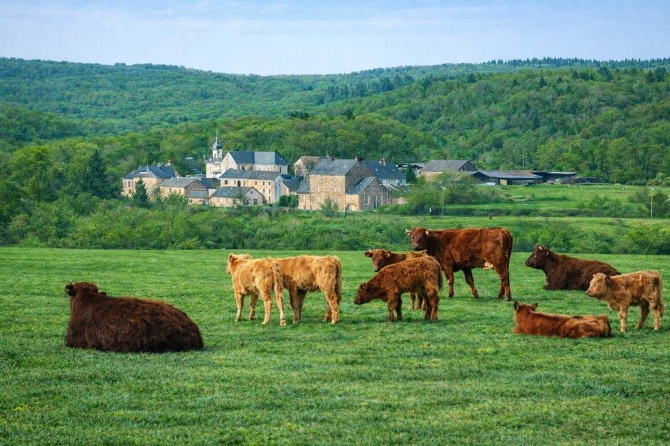 Le hameau  de Xhignesse est tranquille
