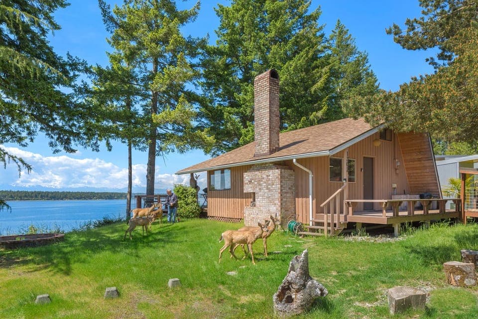 Your cabin awaits. Meet the Herron Island welcoming committee. 