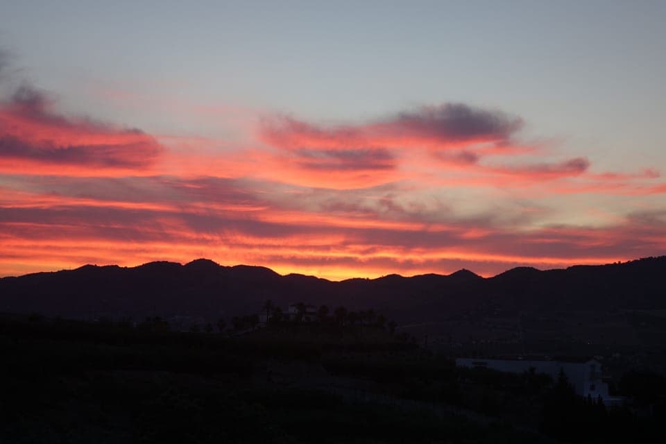 Sunrise From Roof Terrace
