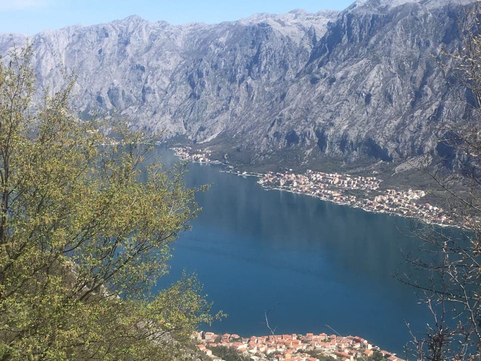 View from walk behind properties