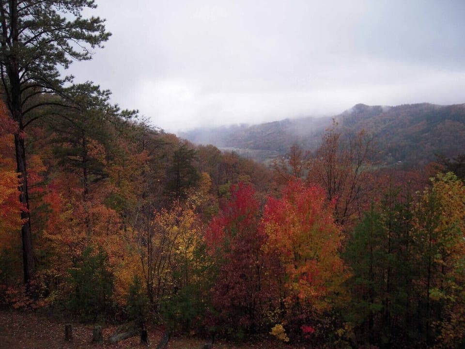 Fall view from cabin