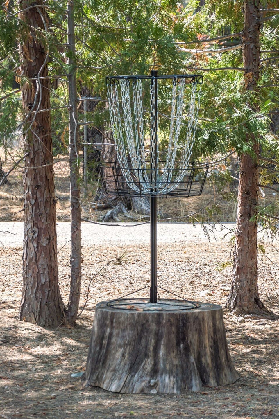 Disc Golf Basket, Discs for practicing are in the garage