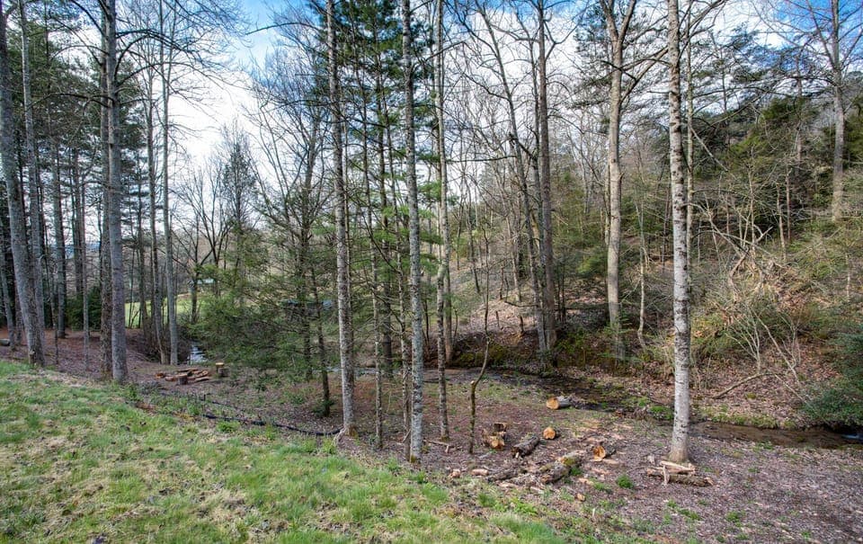 Small creek at Bear Bottom Cabin