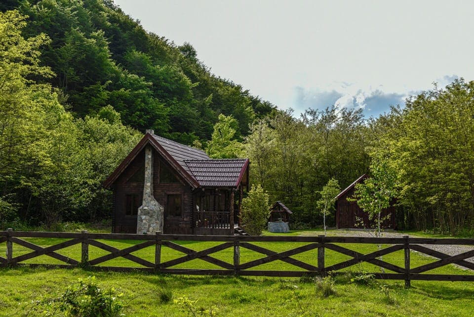 The Property... Nice big green yard with landscaping and trees.