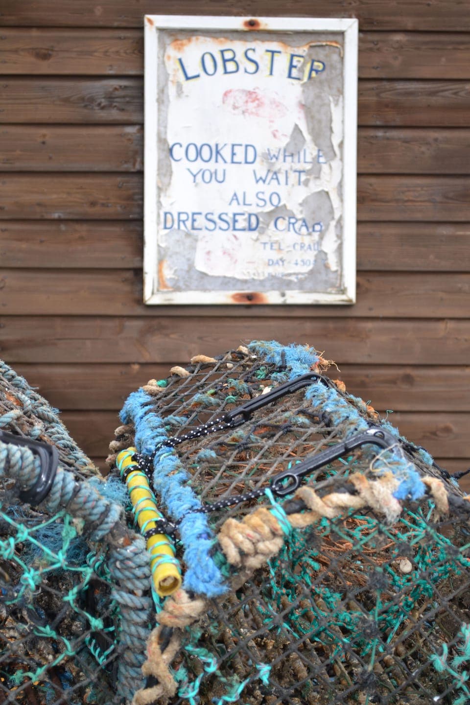 Fresh lobster available at the harbour in season.