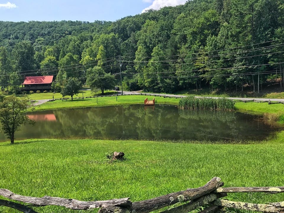 Catch & Release Pond