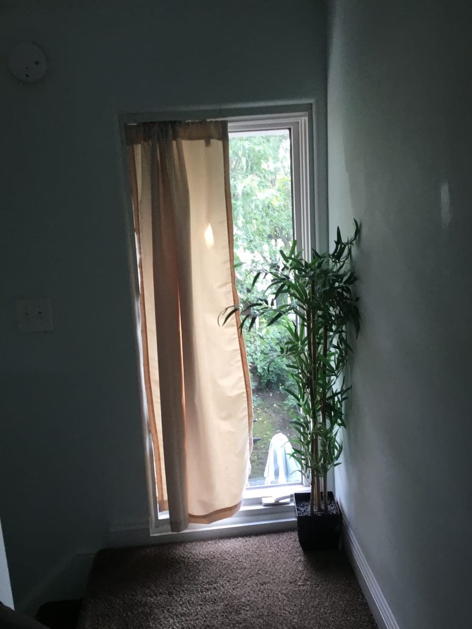 Window at the top of the stairs