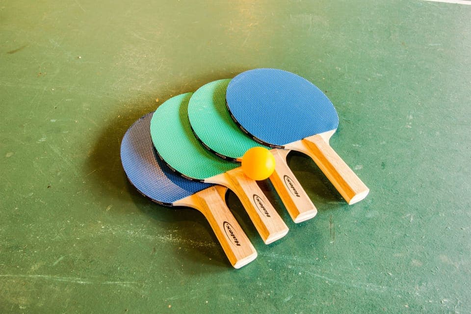 Ping Pong Table in Garage