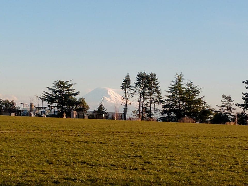 Maple Leaf Park with stunning Mt Rainier view, great jogging paths