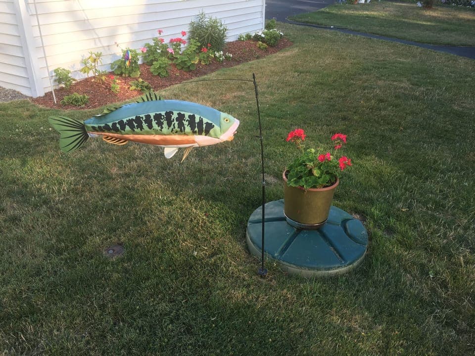 Mr. Bass